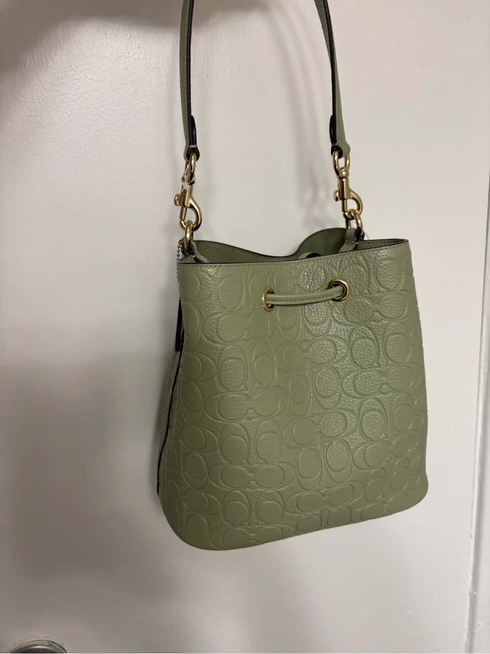 Coach  pistachio Sage Green Pebbled Leather Drawstring Bucket Bag